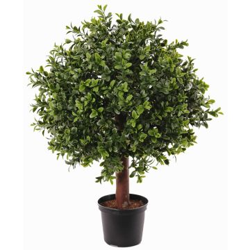 Buchsbaum künstlich TOM, Naturstamm, crossdoor, 45cm, Ø30cm Buchsbaum künstlich TOM, Naturstamm, crossdoor, 45cm, Ø30cm