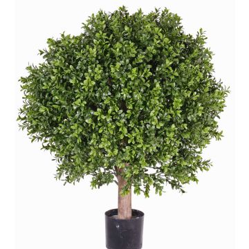 Buchsbaum künstlich TOM, Naturstamm, crossdoor, 65cm, Ø50cm Buchsbaum künstlich TOM, Naturstamm, crossdoor, 65cm, Ø50cm