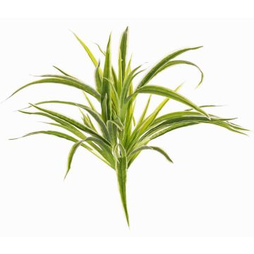 Grünlilie künstlich TASNIN auf Steckstab, grün-weiß, 35cm, Ø40cm