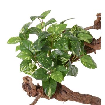 Kunst Pothos NAEL, Steckstab, schwer brennbar, grün-weiß, 50cm