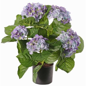 Kunstblume Hortensie TEMARI, violett, 40cm, Ø10-12cm Kunstblume Hortensie TEMARI, violett, 40cm, Ø10-12cm