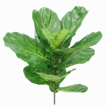 Ficus Lyrata Kunstpflanze EZRA auf Steckstab, crossdoor, grün, 75cm Ficus Lyrata Kunstpflanze EZRA auf Steckstab, crossdoor, grün, 75cm