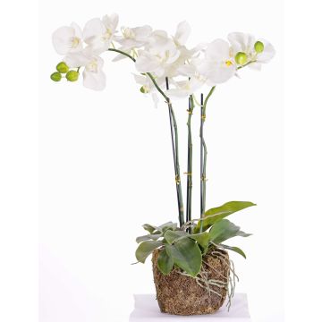 Phalaenopsis Orchidee Kunstblume MARGIT im Erdball, weiß, 65cm