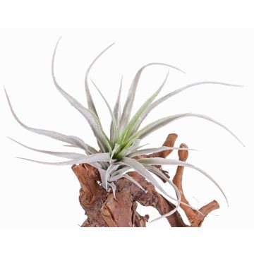 Plastik Tillandsia Stricta ADELE auf Steckstab, grün-grau, 25cm, Ø20cm