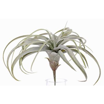 Tillandsia Xerographica künstlich ANELIA auf Steckstab, grün-grau, 30cm