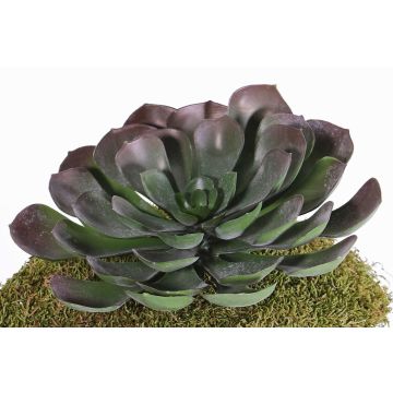 Künstliche Aeonium BARBARA auf Steckstab, rot-grün, 15cm, Ø25cm Künstliche Aeonium BARBARA auf Steckstab, rot-grün, 15cm, Ø25cm