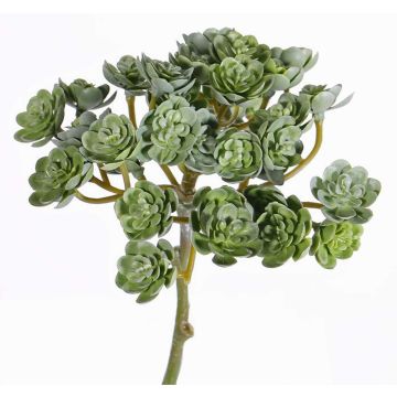 Künstliche Echeveria macdougallii BLAIR auf Steckstab, grün, 20cm, Ø10cm Künstliche Echeveria macdougallii BLAIR auf Steckstab, grün, 20cm, Ø10cm