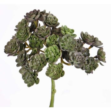 Künstliche Echeveria macdougallii BLAIR auf Steckstab, rot-grün, 20cm, Ø10cm Künstliche Echeveria macdougallii BLAIR auf Steckstab, rot-grün, 20cm, Ø10cm