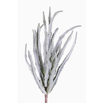 Euphorbia sipolisii künstlich REESE auf Steckstab, grau-grün, 30cm, Ø20cm