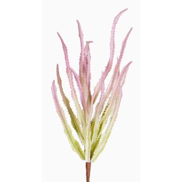 Euphorbia sipolisii künstlich REESE auf Steckstab, rosa-grün, 30cm, Ø20cm