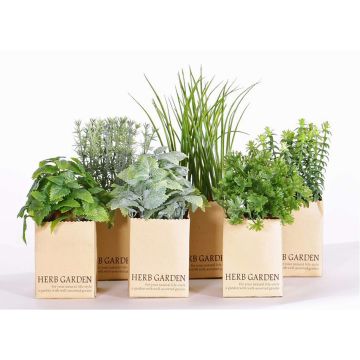 Künstlicher Kräutermix CHUCK im Papiertopf, 6 Stück, grün, 15-25cm Künstlicher Kräutermix CHUCK im Papiertopf, 6 Stück, grün, 15-25cm