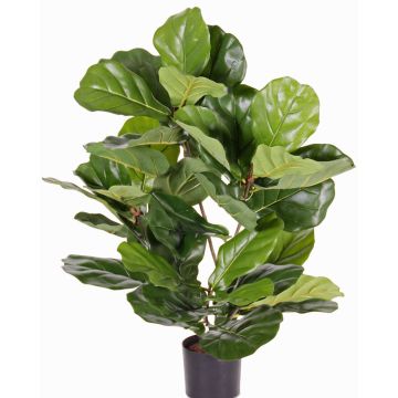 Künstlicher Ficus Lyrata RHYS, crossdoor, grün, 70cm Künstlicher Ficus Lyrata RHYS, crossdoor, grün, 70cm