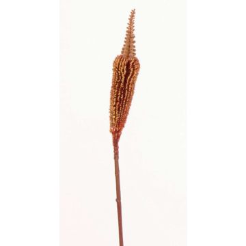 Textil Bulbinella TALUNA, braun-rot, 65cm, Ø4cm Textil Bulbinella TALUNA, braun-rot, 65cm, Ø4cm
