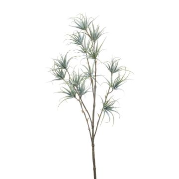 Sukkulente Plastik Tillandsia Stricta Zweig MONDRIAN, grün-grau, 65cm