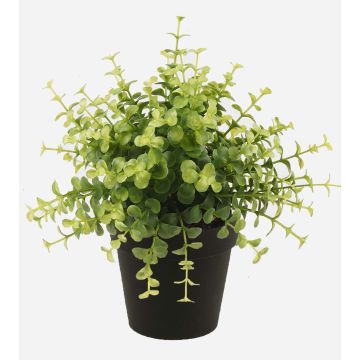 Kunstkräuter Eukalyptus YANIS, grün, 20cm