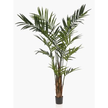 Kunstpalme XXL Kentia Palme TIRO, 270cm