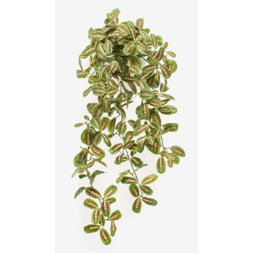 Kunstpflanze Pfeilwurz Hänger PARANA auf Steckstab, grün, 70cm