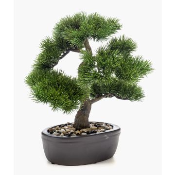 Plastik Bonsai Pinie GALDOS in Schale, 30cm
