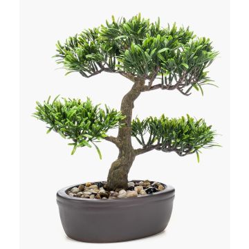 Plastik Bonsai Podocarpus GOYA in Schale, 30cm