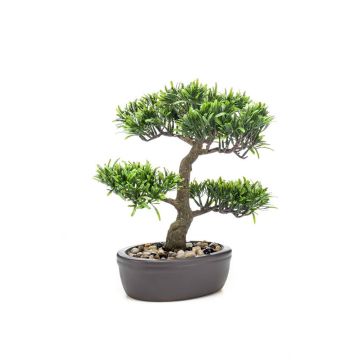 Plastik Bonsai Podocarpus GOYA in Schale, 30cm