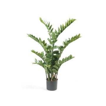Kunstpflanze Zamioculcas SIMANO, 110cm