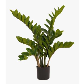 Kunstpflanze Zamioculcas SIMANO, 70cm