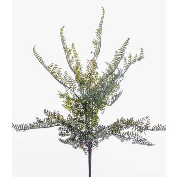 Farn künstlich Schildfarn INDIVAR auf Steckstab, grün, 30cm Farn künstlich Schildfarn INDIVAR auf Steckstab, grün, 30cm