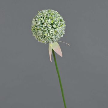 Künstliche Allium DURBAN, weiß, 70cm, Ø9cm