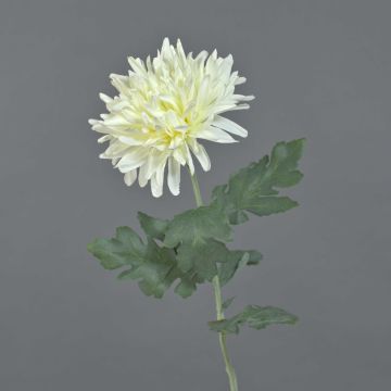 Künstliche Chrysantheme KAMPAL, creme-weiß, 70cm, Ø14cm