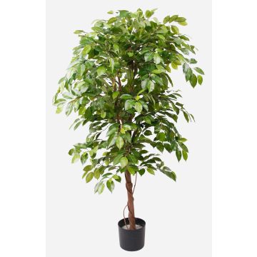 Künstlicher Ficus Benjamini BARTOLO, Echtstamm, grün, 140cm