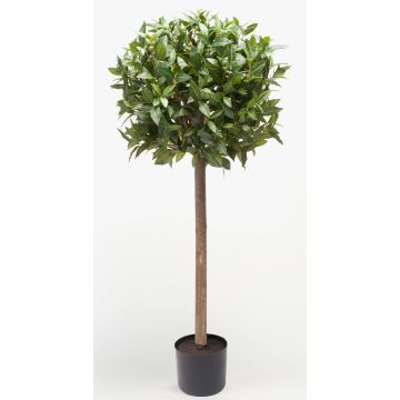 Künstliche Kirschlorbeer Kugel DRODY, Echtstamm, Früchte, 90cm