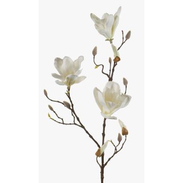 Künstliche Magnolie MALVAO, creme, 90cm, Ø10-12cm