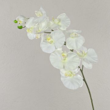 Große Kunstblume Phalaenopsis Orchideen Zweig ANAT, weiß, 95cm, Ø9-11,5cm