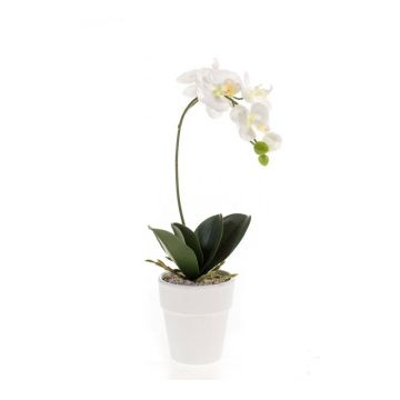 Unechte Orchidee Phalaenopsis ISIS, Keramiktopf, weiß, 40cm