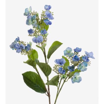 Kunsthortensie ALAZNE, blau, 75cm, Ø7-10cm