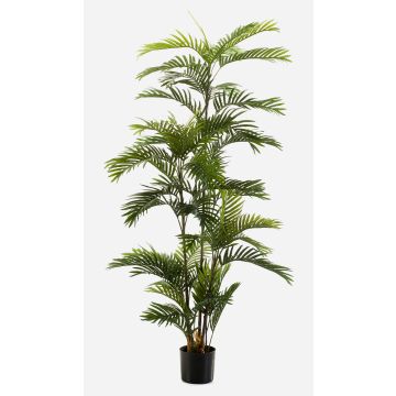 Kunstpalme Areca FEDERICO, 180cm