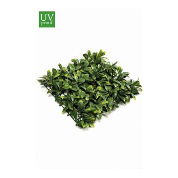 Kunst Zierkirschen Matte ARIELLA, crossdoor, grün, 50x50cm Kunst Zierkirschen Matte ARIELLA, crossdoor, grün, 50x50cm