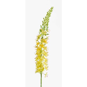 Große Kunstblume Steppenkerze SELINA, gelb, 105cm, Ø9cm Große Kunstblume Steppenkerze SELINA, gelb, 105cm, Ø9cm