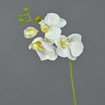 Kunst Phalaenopsis Orchidee Zweig MINA, weiß, 55cm, Ø7-8cm
