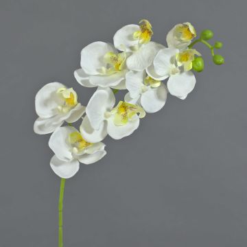 Kunst Phalaenopsis Orchidee Zweig MINA, weiß, 60cm, Ø7-8cm