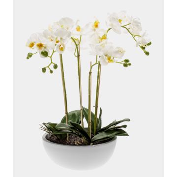 Kunst Phalaenopsis Orchidee MINA im Keramiktopf, weiß, 60cm