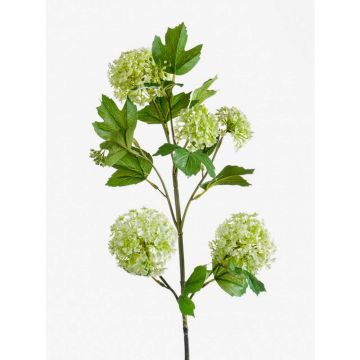 Künstlicher Schneeball Zweig JUVIA, grün, 75cm, Ø5-7cm Künstlicher Schneeball Zweig JUVIA, grün, 75cm, Ø5-7cm