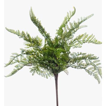 Kunstpflanze Farn Frauenfarn MELLEA auf Steckstab, grün, 40cm