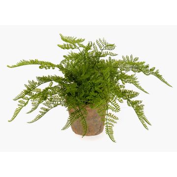 Kunstpflanze Farn Frauenfarn MELLEA im Terracottatopf, grün, 25cm