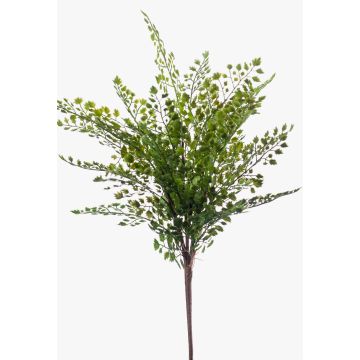 Kunstpflanze Farn Frauenhaarfarn DEMAS auf Steckstab, grün, 40cm