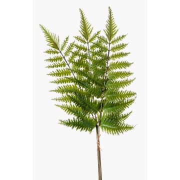 Dekoblatt Schwertfarn HALIMA, grün, 60cm