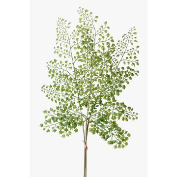 Dekoblatt Frauenhaarfarn HALIMA, grün, 60cm