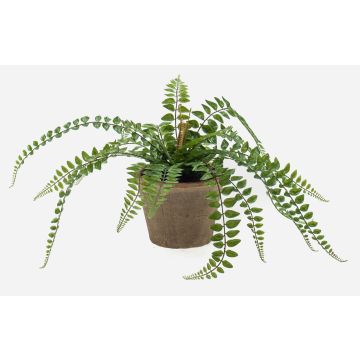 Künstlicher Farn Knopffarn BELONA im Terracottatopf, grün, 50cm