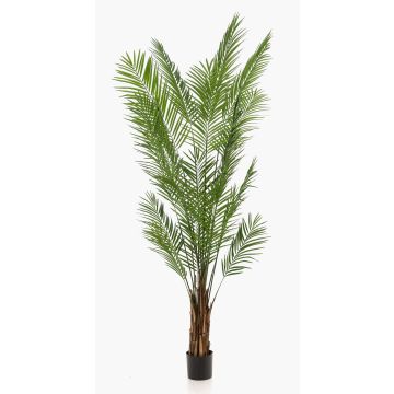 Areca Palme künstlich CUZCO, 240cm Areca Palme künstlich CUZCO, 240cm
