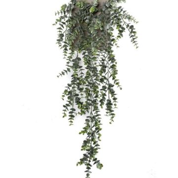 Kunstpflanze Eukalyptus hängend ZELINDA auf Steckstab, grün, 75cm Kunstpflanze Eukalyptus hängend ZELINDA auf Steckstab, grün, 75cm